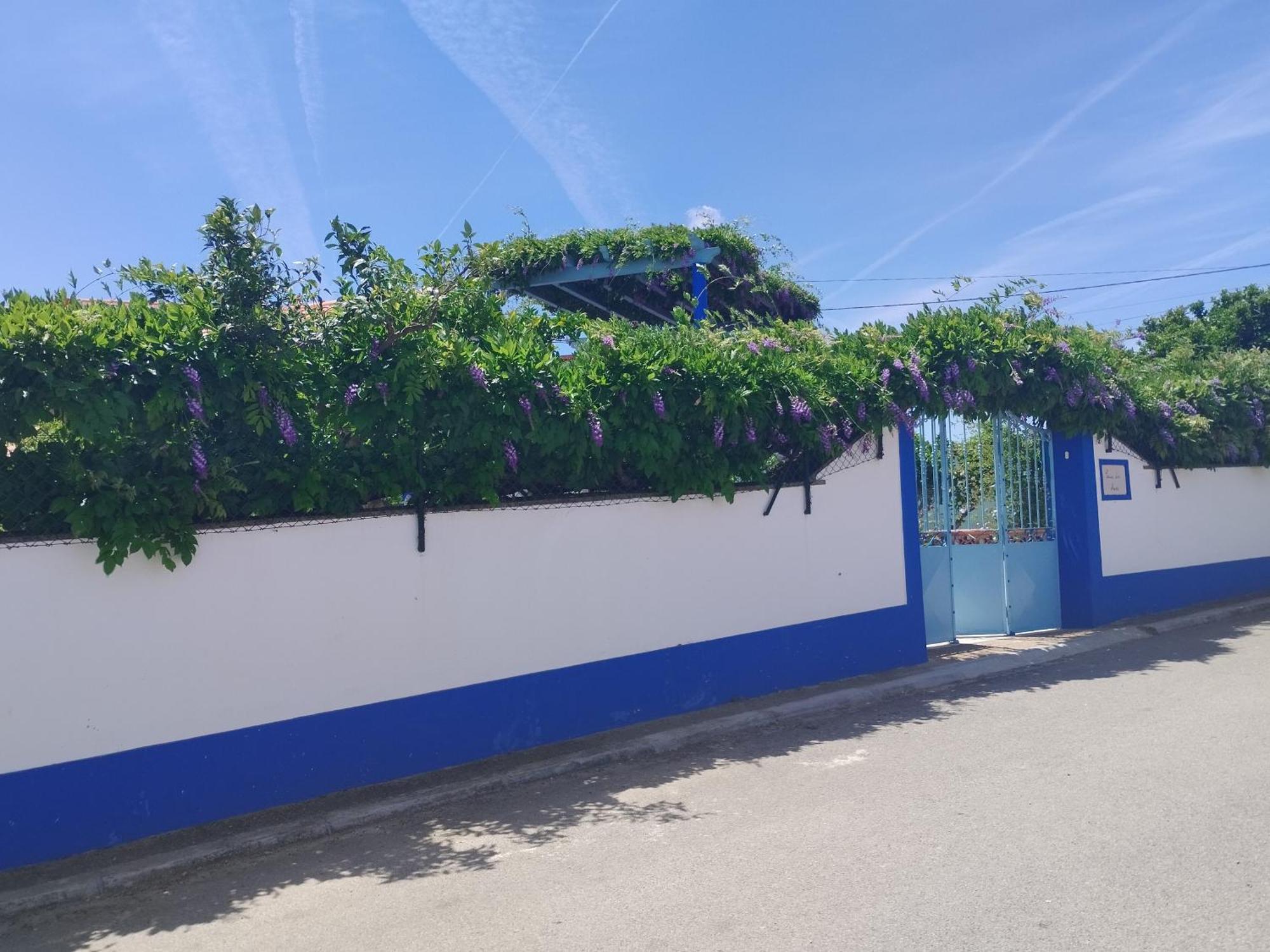 הוילה מונסראז Casa Dos Avos מראה חיצוני תמונה